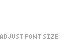 Adjust Font Size