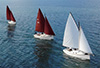 3 Cygnet 20s Drone photo on Lake Macquarie