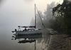 Cygnet 20 Early morning Hawkesbury River