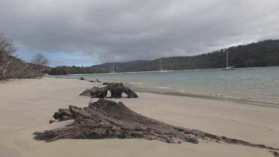 Southern Belle's Trip To Tasmania Southern Belle's Trip To Tasmania